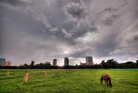 parks in kolkata