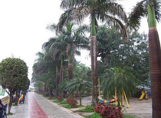 parks-in-kolkata-millenium-park