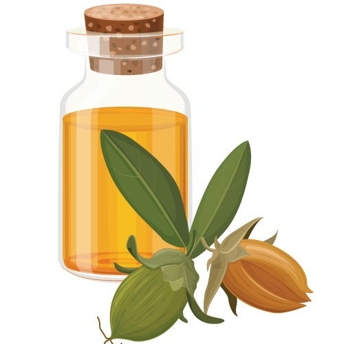 ayurvédikus Oils To Prevent Hair Fall - Jojoba Oil