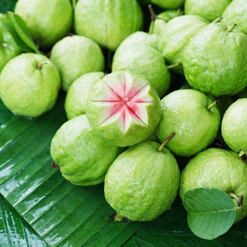 Calcium Rich Fruits - Guava