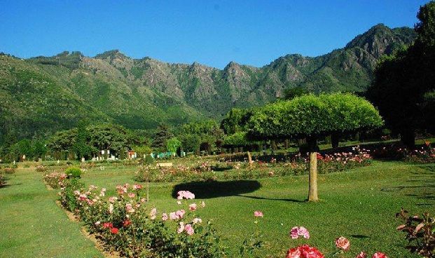 nehru-botanikos-garden_sikkim-turistinės vietos