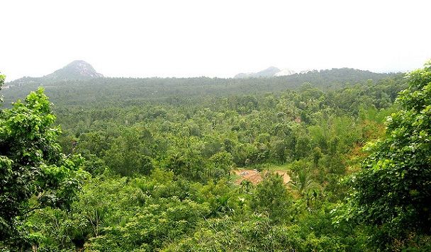 ambukuthi-mala_wayanad-turistična mesta