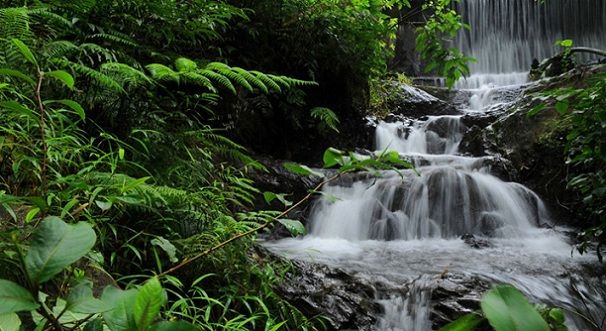 chethalayam-falls_wayanad-turistični kraji