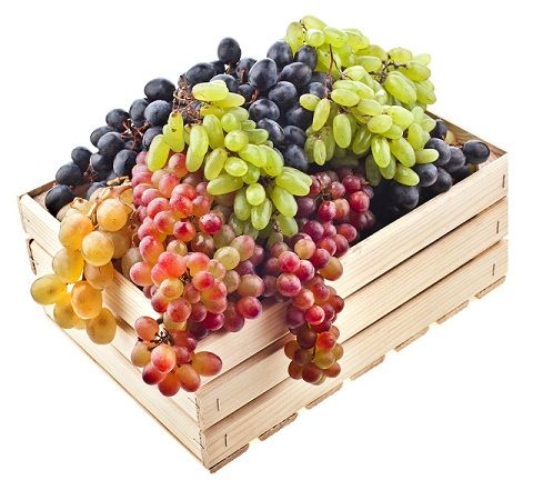 Grapes Remedies FRor Wrinkles