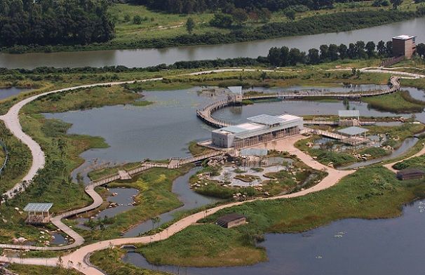 wetland-park_hong-kong-turistinės vietos