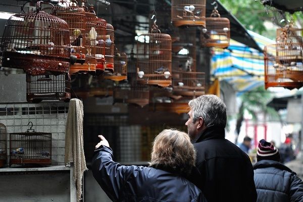 paukščių sodas_hong-kong-turistinės vietos