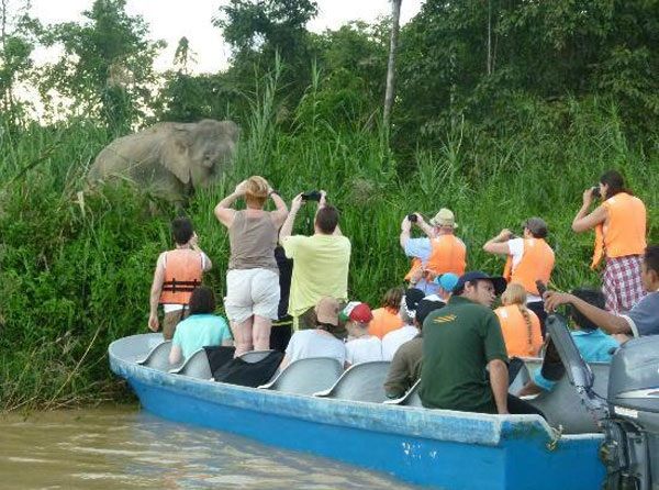 turistice-locuri Kinabatangan-river_malaysia-