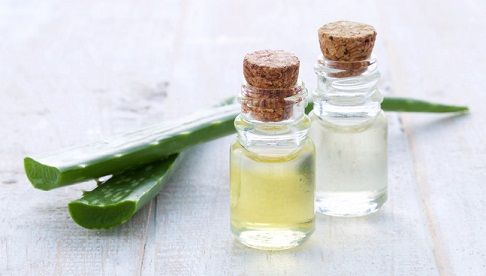 Aloe Vera Hair Oil