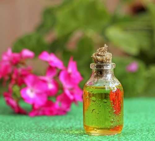 Naravno Oils for Hair Growth - Geranium