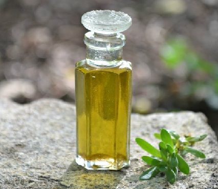 Brahmi Hair Oil