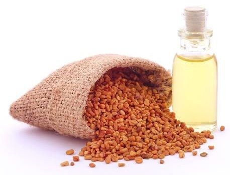 Fenugreek hair Oil