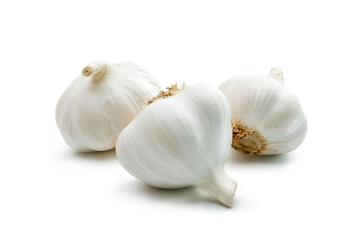 Garlic