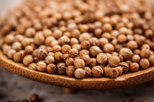 Coriander Seeds