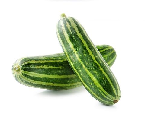 Cucumber