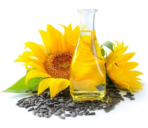 Sunflower Oil