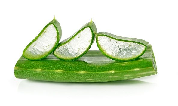 Aloe vera 1