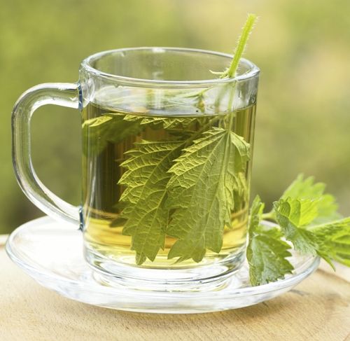 Nettles tea