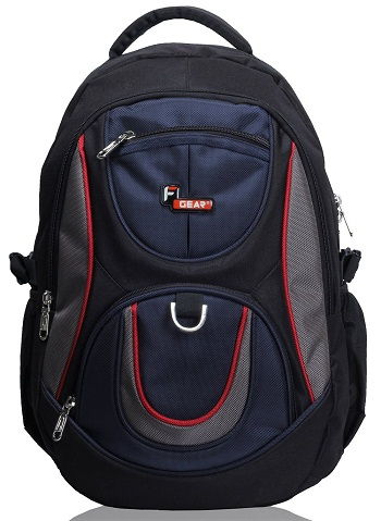 polyster 29 Litres School Bag -9