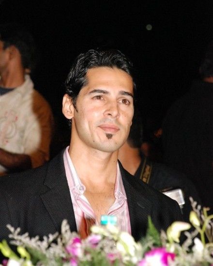 Dino Morea