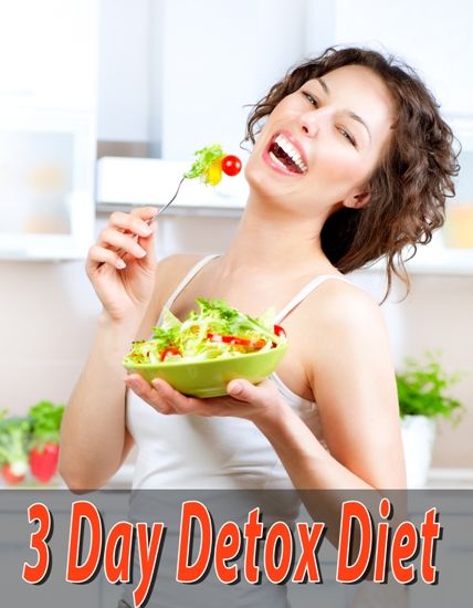 3 day diet