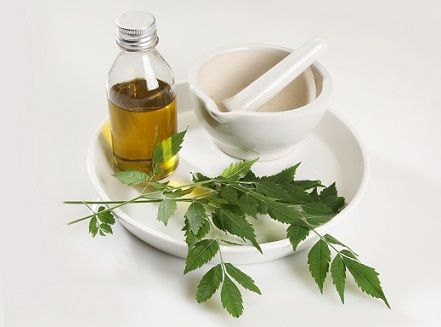 Homemade Tips For Long Hair - Neem Oil