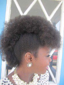 Fro-Hawk 