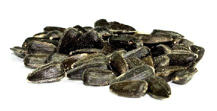 sunflower seeds for gs