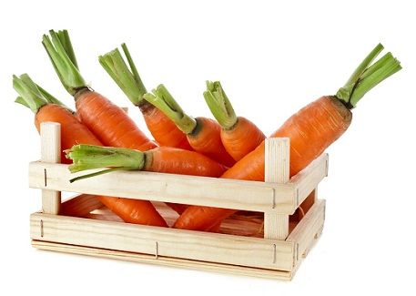 carrots gss fr gs