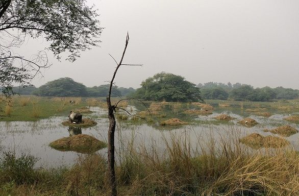 parcuri in gurgaon