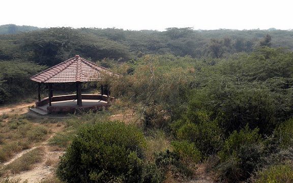 Parcuri-in-Gurgaon-Asola-Bhatti-fauna sălbatică-sanctuar