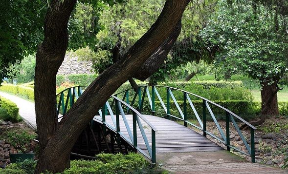 parkok-in-chandigarh-Shanti-Kunj-park