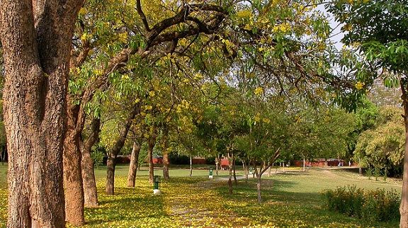 parkok-in-chandigarh-fitness-trail-park