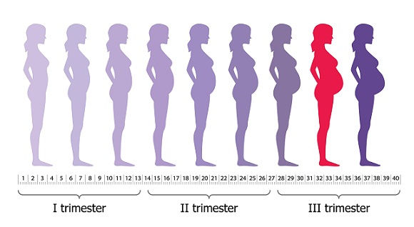 élelmiszerek to avoid-8th Month Pregnancy