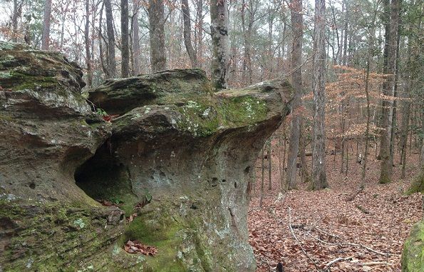 Poznan Forest Camping Grounds-Tuskegee National Forest, Alabama