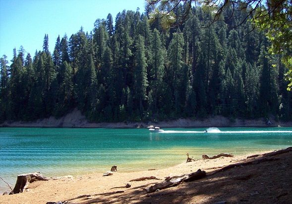 Poznan Forest Camping Grounds-Trinity National Forest, California