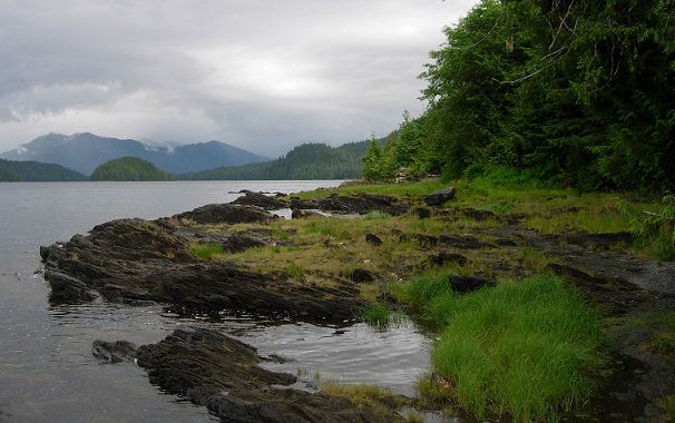 Poznan Forest Camping Grounds-Tongass National Forest, Alaska