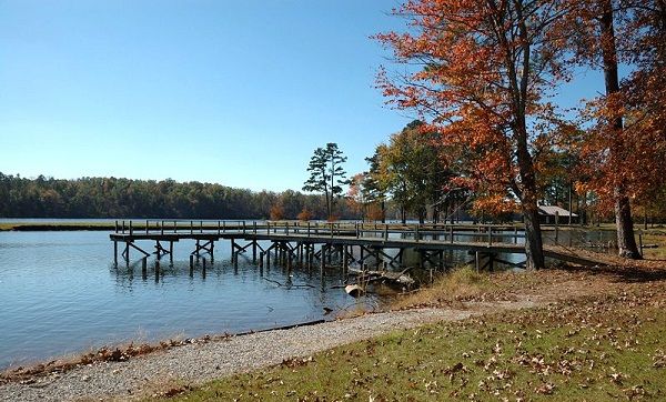 Poznan Forest Camping Grounds-Tombigee National Forest, Mississippi