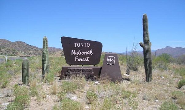 Poznan Forest Camping Grounds-Tonto National Forest, Arizona