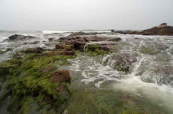 Paplūdimiai in Andhra Pradesh-Bheemunipatnam beach