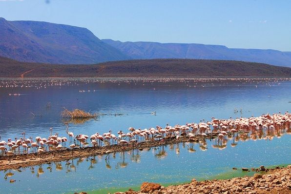 lake-nakuru_kenya-tourist-places