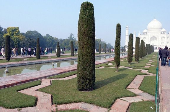 park-in-arah-taj-mahal sodas