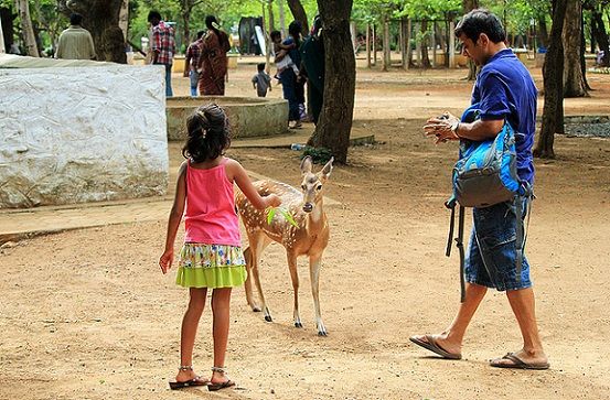 parcuri in chennai