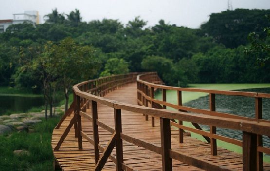 parkok-in-Chennai-tholkappiar-ökológiai-park