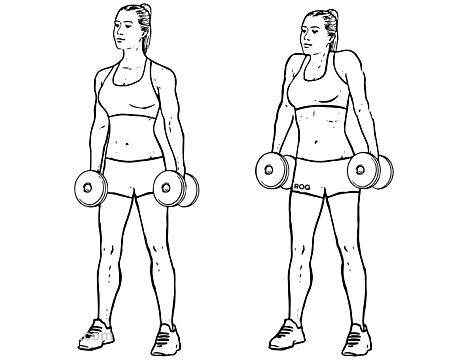 Dumbbell Shrugs