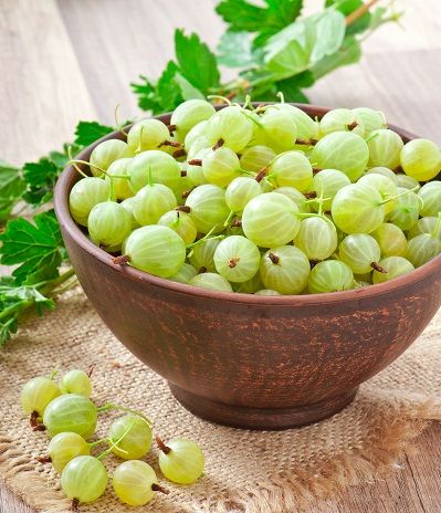 Gooseberry