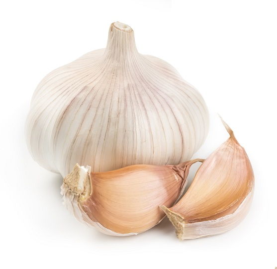 Garlic 4