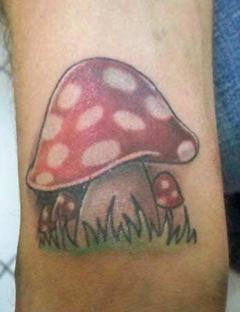 Incredible Mushroom Tattoo Design