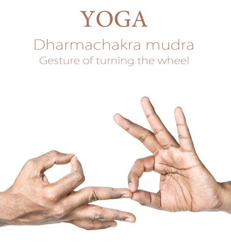 Dharma Chkra mudra 124