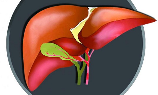 mit causes fatty liver - deposition of excess Fat