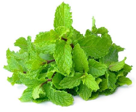 Kaip to Remove Pimples from Face-mint leave